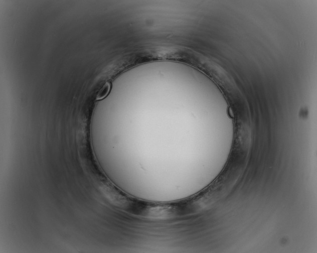 X0000101690461200807241413