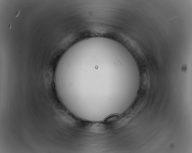 X0000101690463200807241413