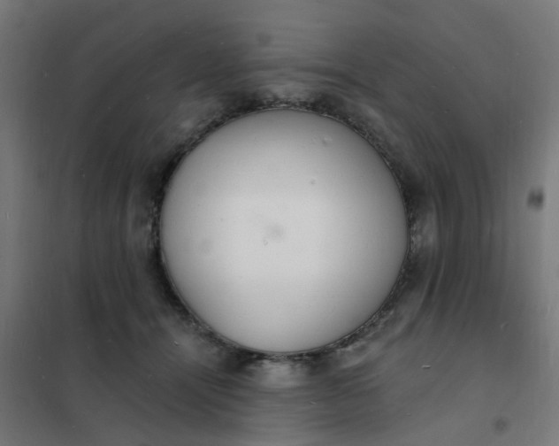 X0000101690464200807241413