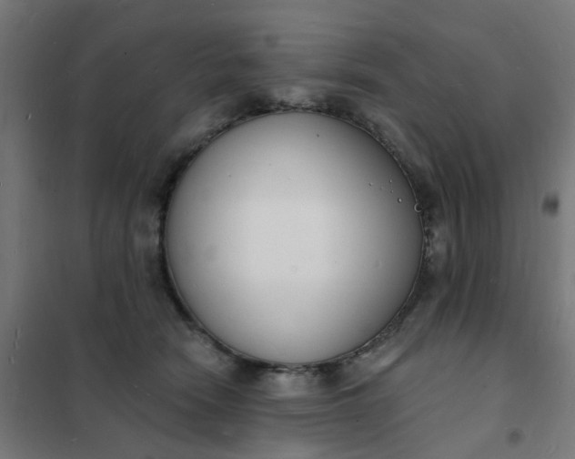 X0000101690466200807241413