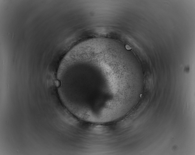 X0000101690467200807241413