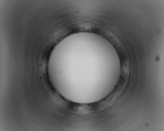 X0000101690468200807241413