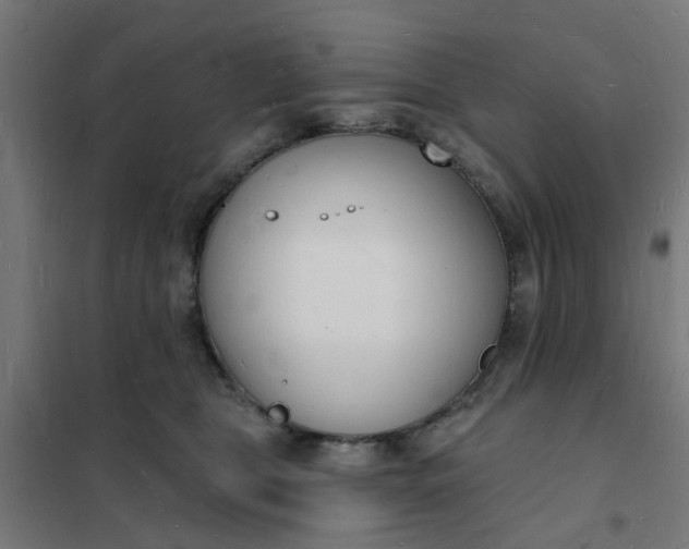 X0000101690469200807241413