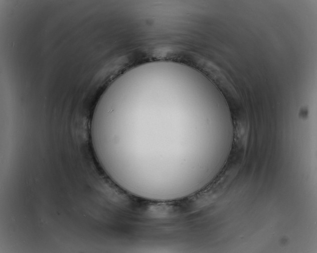 X0000101690470200807241413