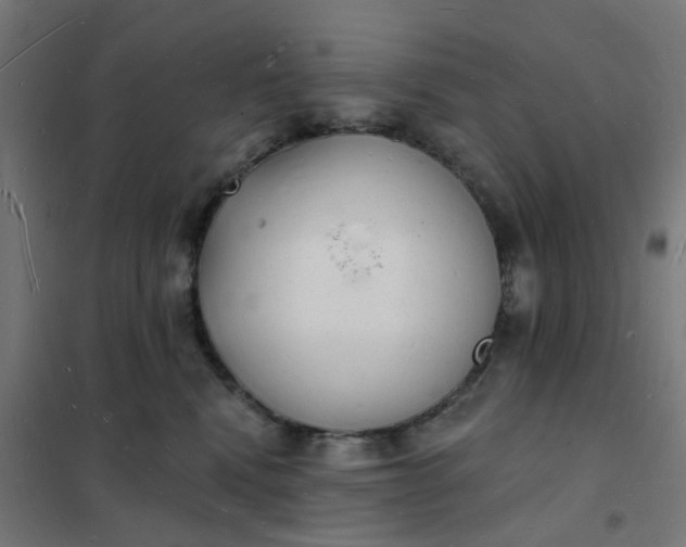 X0000101690472200807241413