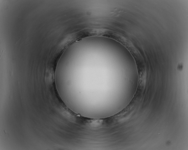 X0000101690474200807241413