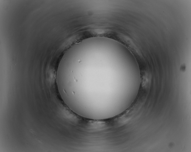 X0000101690476200807241413