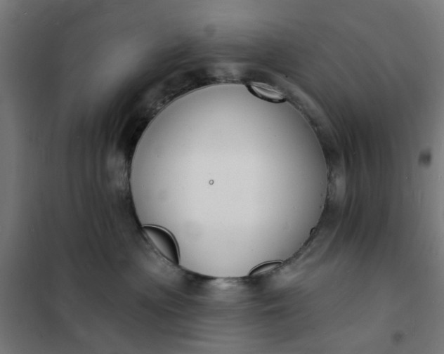 X0000101690477200807241413