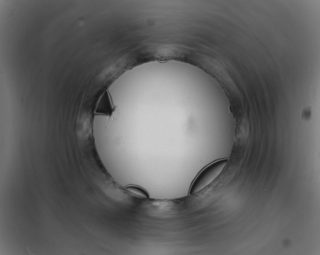 X0000101690478200807241413