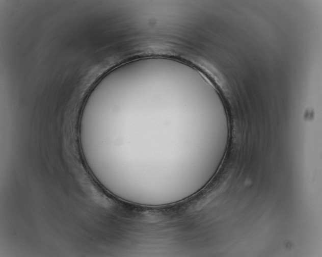 X0000101690481200807241412