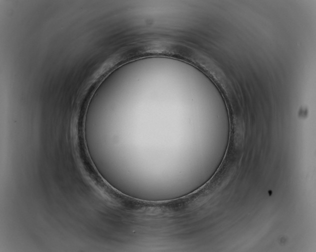 X0000101690482200807241412