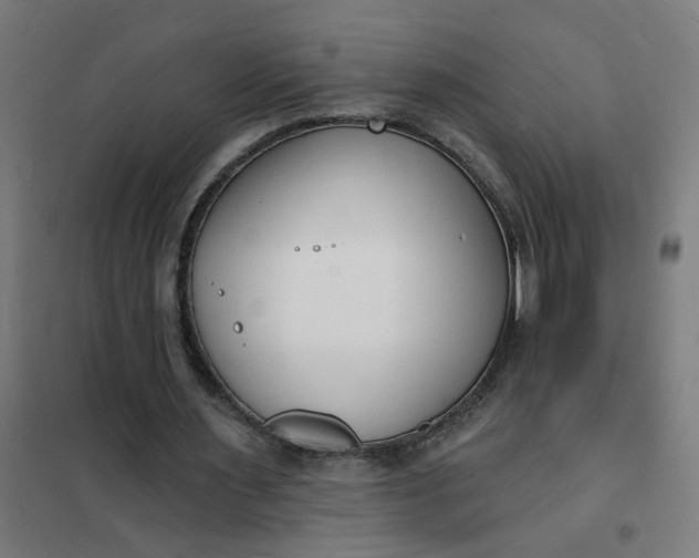 X0000101690483200807241412