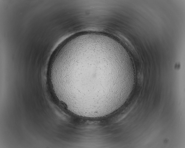 X0000101690484200807241412