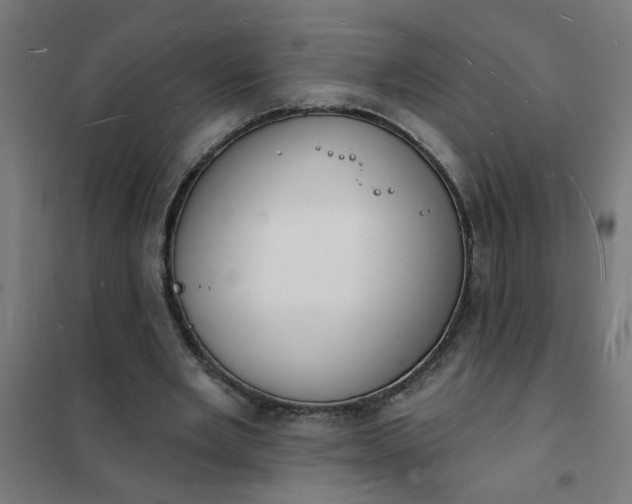 X0000101690485200807241412