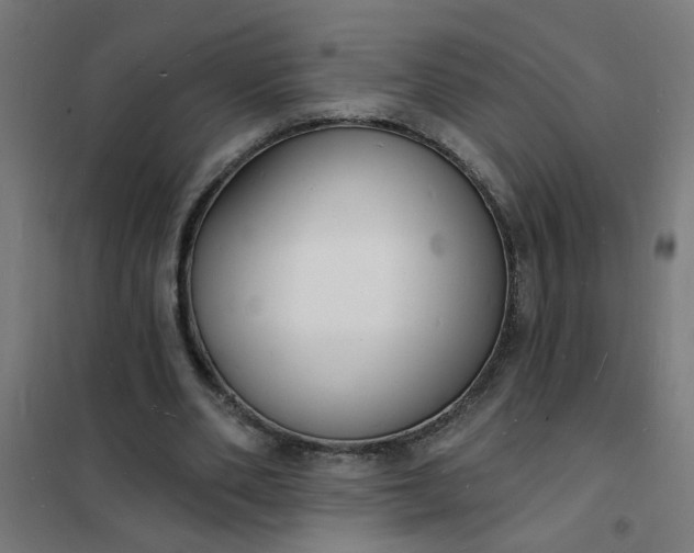 X0000101690486200807241412