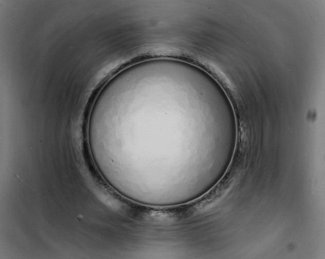 X0000101690487200807241412