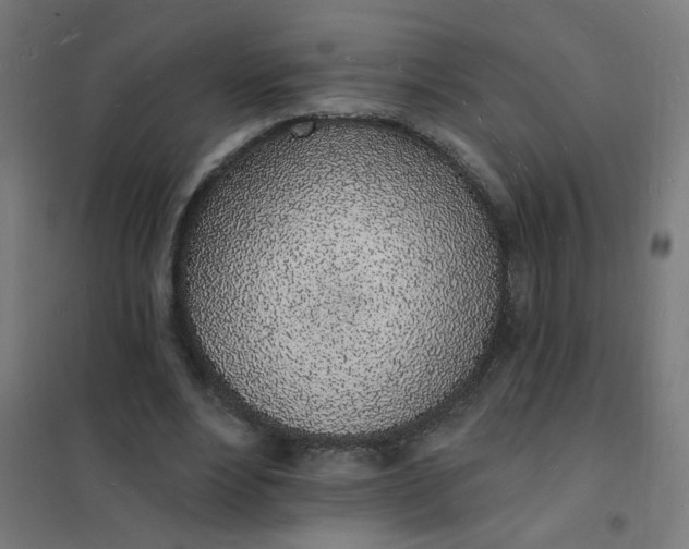 X0000101690488200807241412