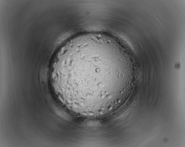 X0000101690491200807241412