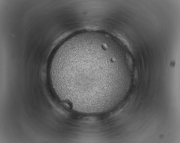 X0000101690492200807241412