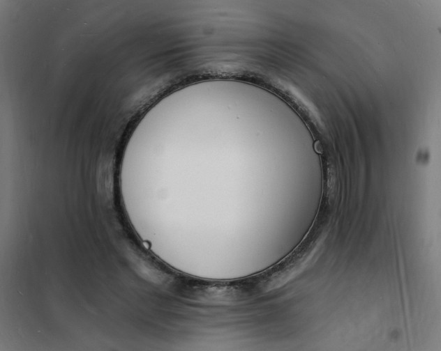 X0000101690493200807241412