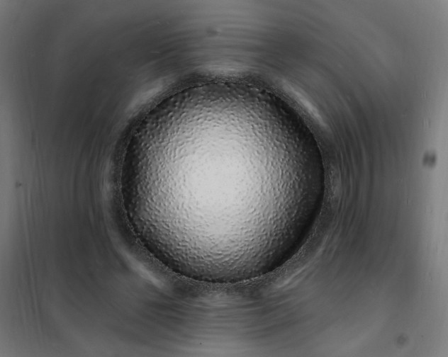 X0000101690494200807241412