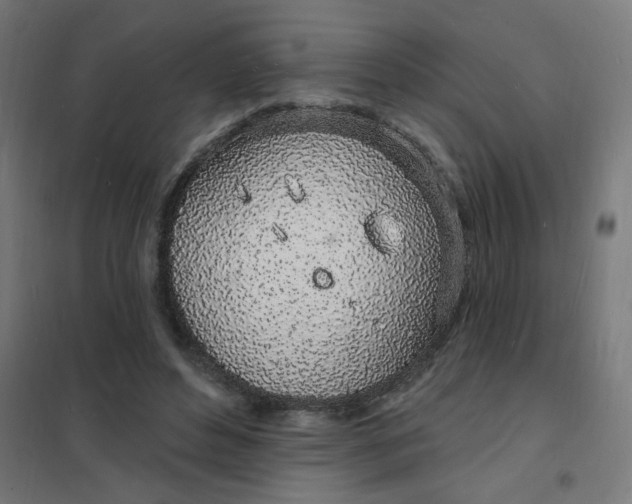 X0000101690496200807241412