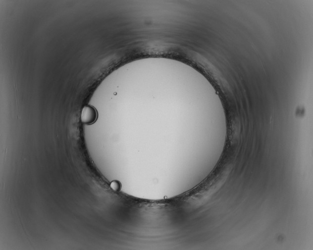 X0000101690497200807241412