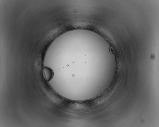 X0000101690498200807241412