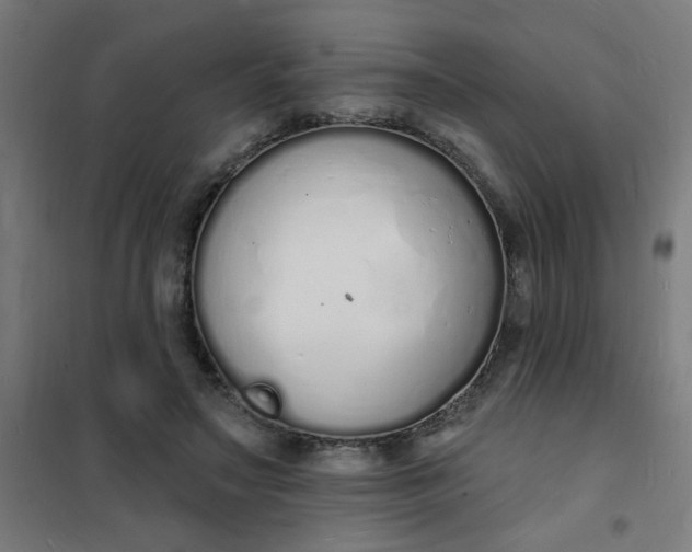 X0000101690499200807241412