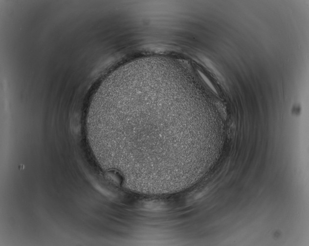 X0000101690500200807241412