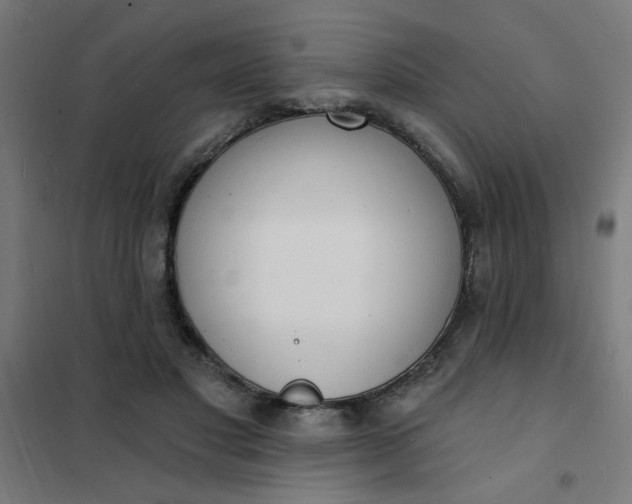 X0000101690501200807241412