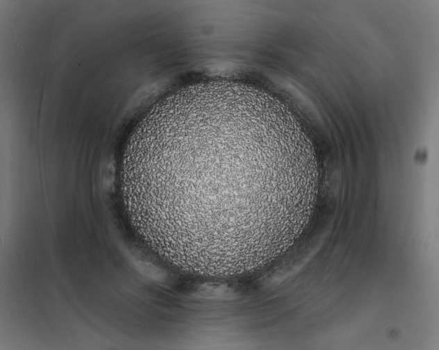 X0000101690502200807241412