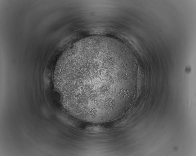 X0000101690503200807241412