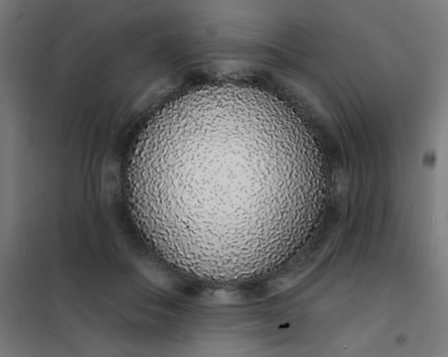 X0000101690506200807241412