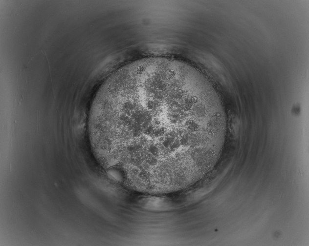 X0000101690507200807241412