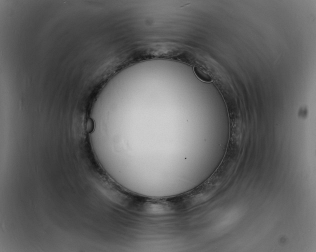 X0000101690510200807241412