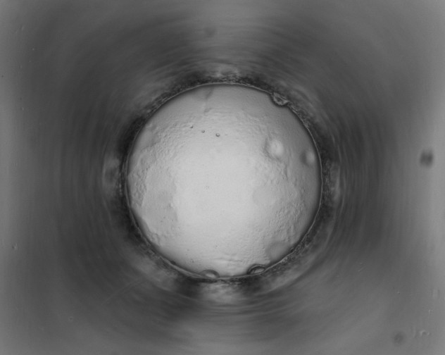 X0000101690511200807241412