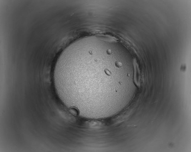 X0000101690512200807241412