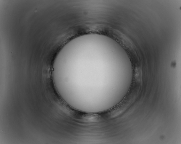 X0000101690514200807241412