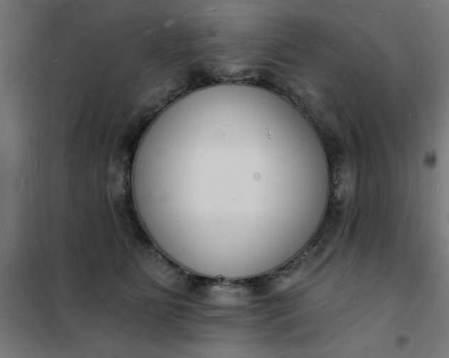 X0000101690515200807241412