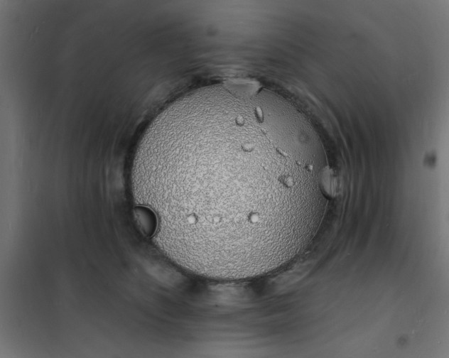 X0000101690516200807241412