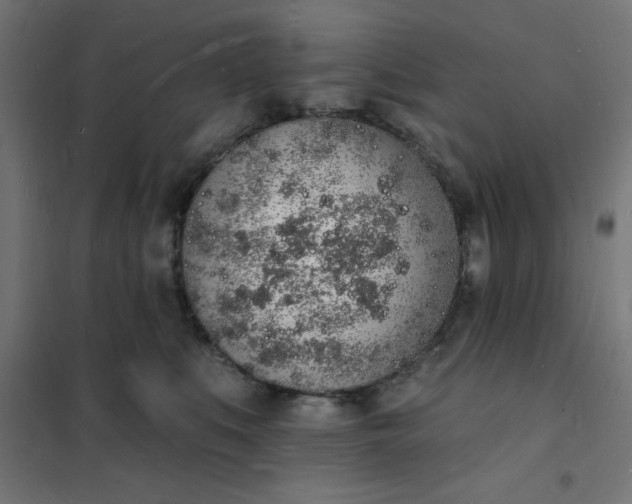 X0000101690519200807241412