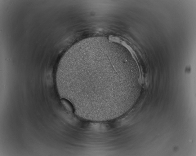 X0000101690520200807241412