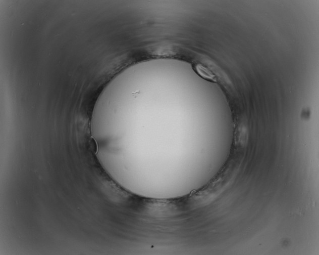 X0000101690521200807241412