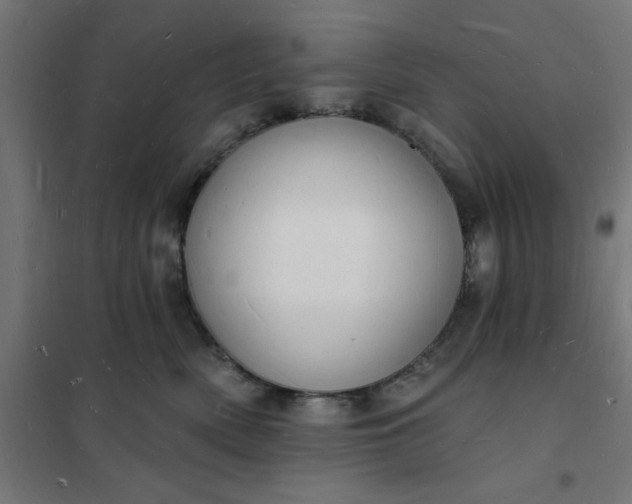 X0000101690522200807241412