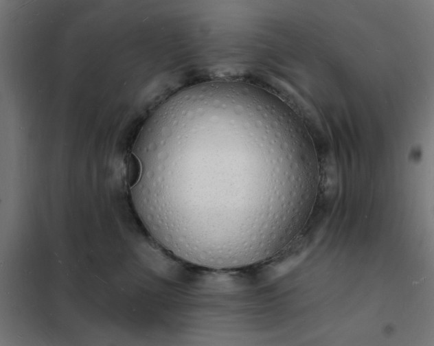 X0000101690523200807241412