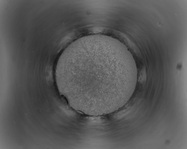 X0000101690524200807241412