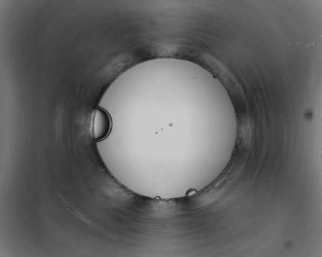 X0000101690525200807241412