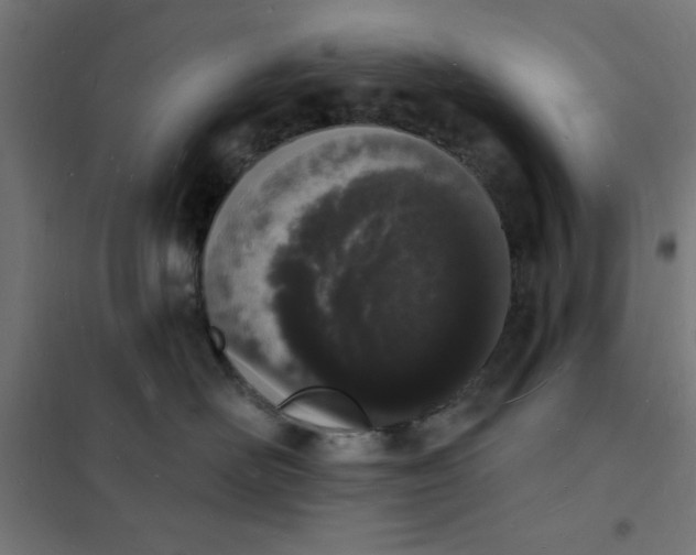 X0000101690526200807241412