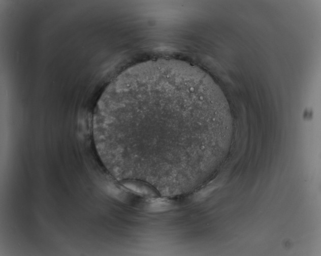 X0000101690528200807241412